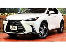 2023 Lexus NX