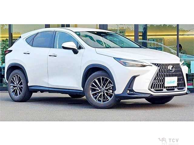 2023 Lexus NX