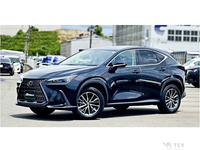 2023 Lexus NX