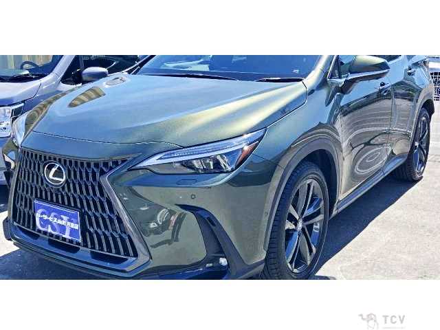 2023 Lexus NX
