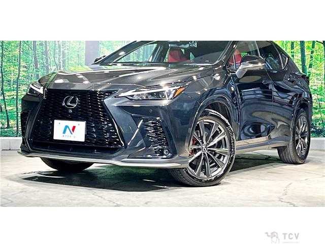 2023 Lexus NX