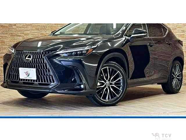 2023 Lexus NX