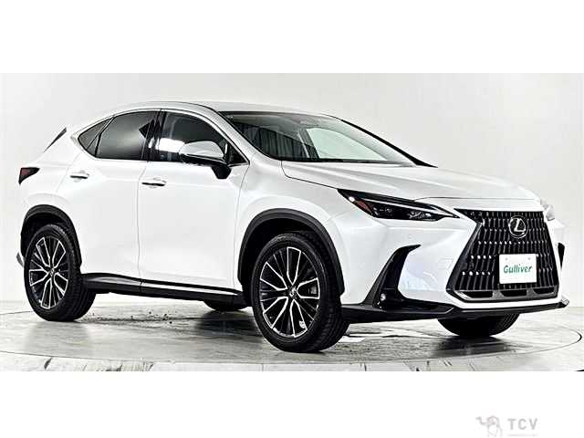 2023 Lexus NX