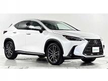 2023 Lexus NX
