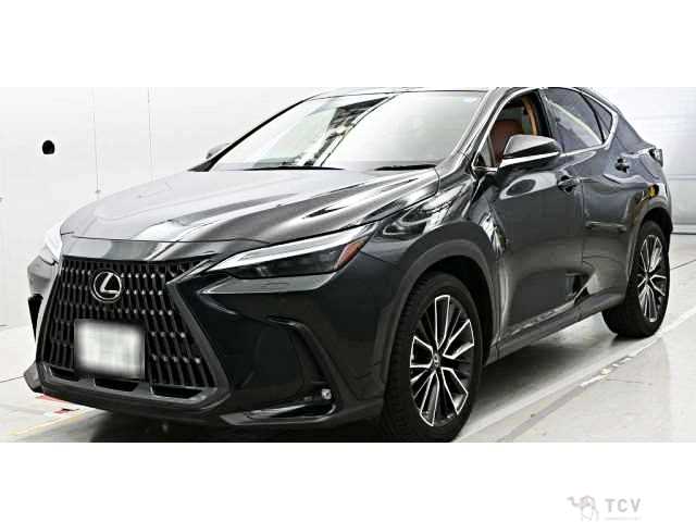 2023 Lexus NX