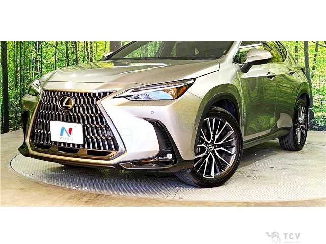 2023 Lexus NX