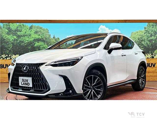 2023 Lexus NX