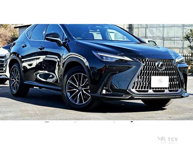 2023 Lexus NX
