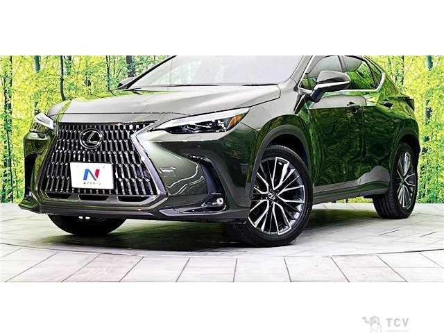 2023 Lexus NX