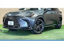 2023 Lexus NX