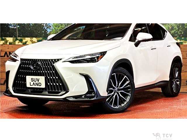 2023 Lexus NX