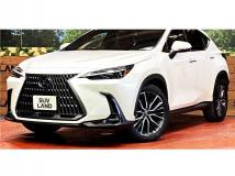 2023 Lexus NX
