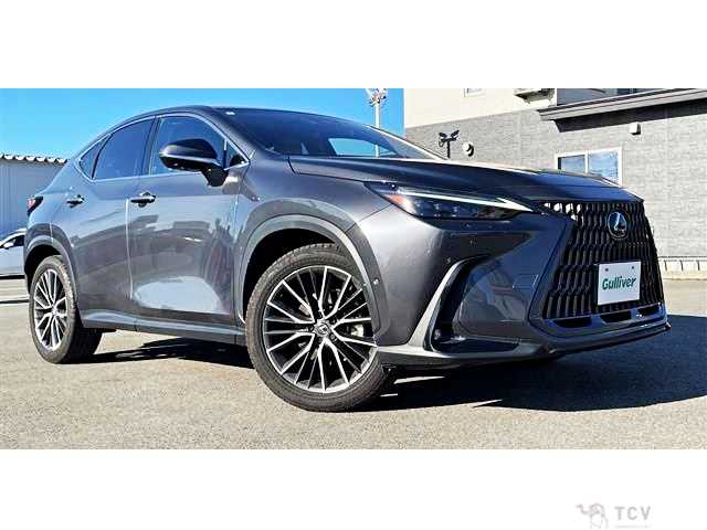 2023 Lexus NX