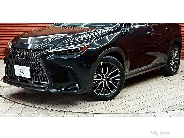 2023 Lexus NX
