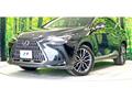 2023 Lexus NX