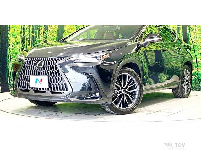 2023 Lexus NX