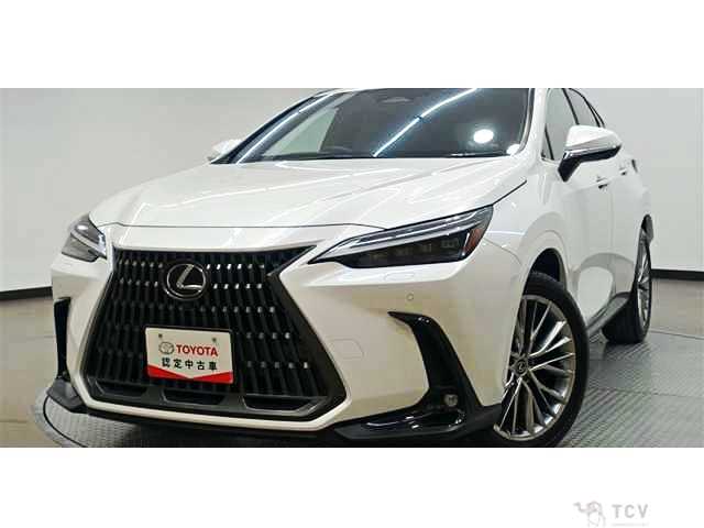 2023 Lexus NX