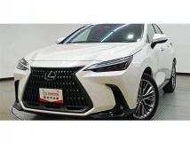 2023 Lexus NX