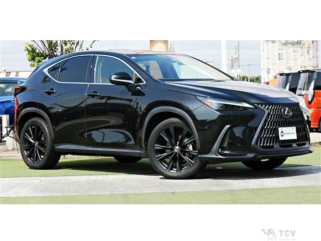 2023 Lexus NX