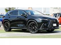 2023 Lexus NX
