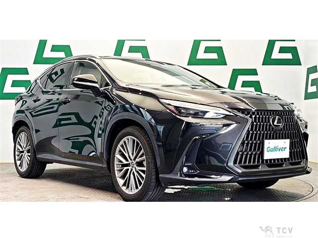 2023 Lexus NX