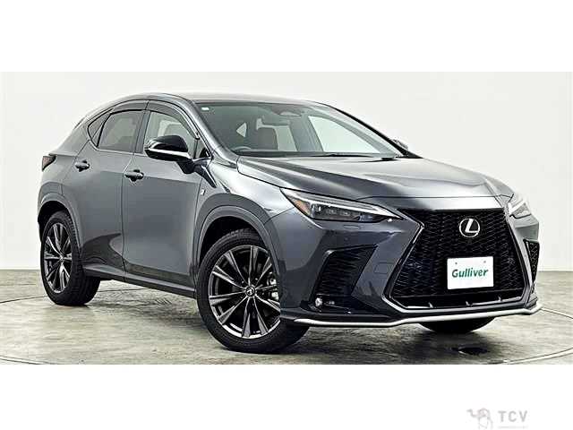 2023 Lexus NX