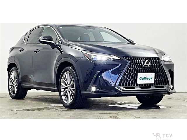 2023 Lexus NX