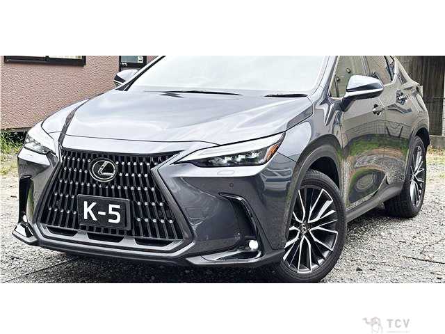 2023 Lexus NX