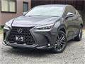 2023 Lexus NX