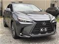 2023 Lexus NX