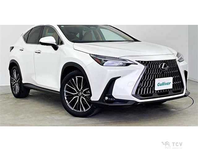 2023 Lexus NX
