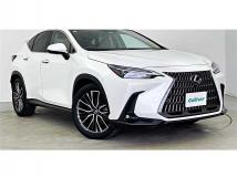 2023 Lexus NX