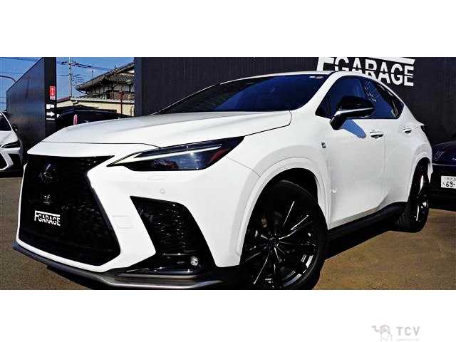 2023 Lexus NX
