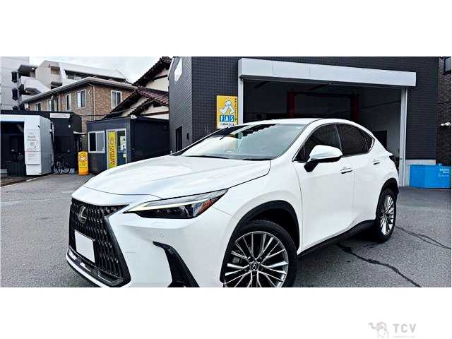 2023 Lexus NX