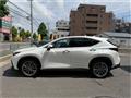 2023 Lexus NX