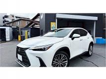 2023 Lexus NX