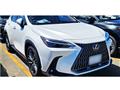 2023 Lexus NX