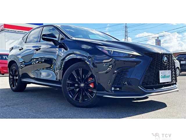 2023 Lexus NX