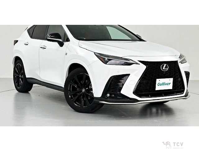 2023 Lexus NX