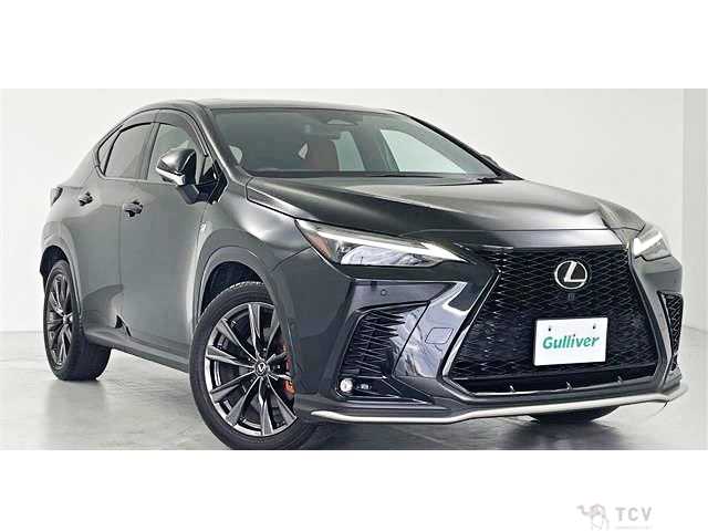 2023 Lexus NX