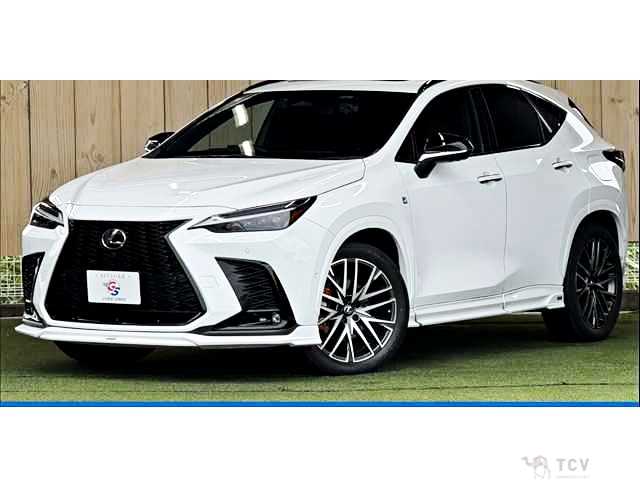 2023 Lexus NX