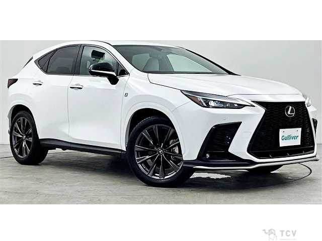 2023 Lexus NX