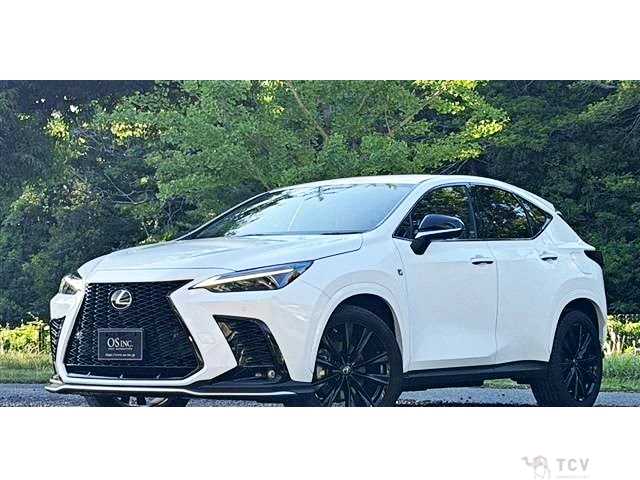 2023 Lexus NX