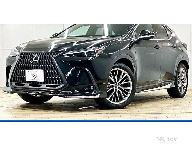 2023 Lexus NX