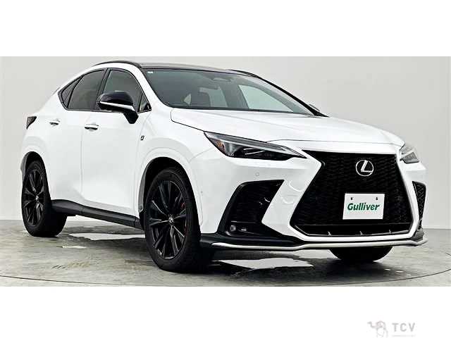 2023 Lexus NX