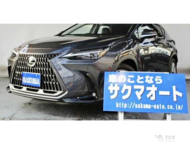 2023 Lexus NX