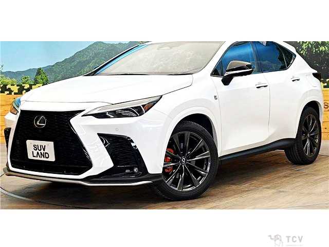 2023 Lexus NX