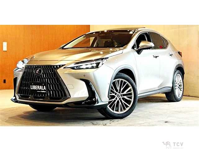 2023 Lexus NX