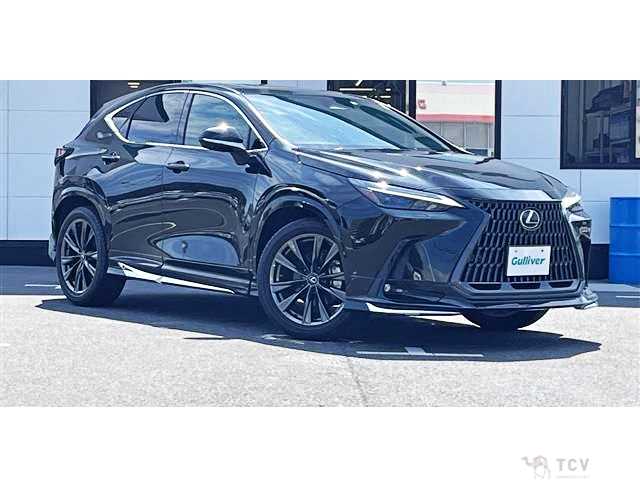 2023 Lexus NX