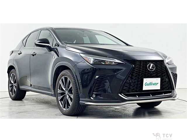 2023 Lexus NX